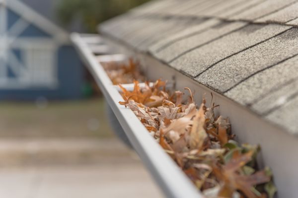 Leaf Barrier Installation in Trenton
